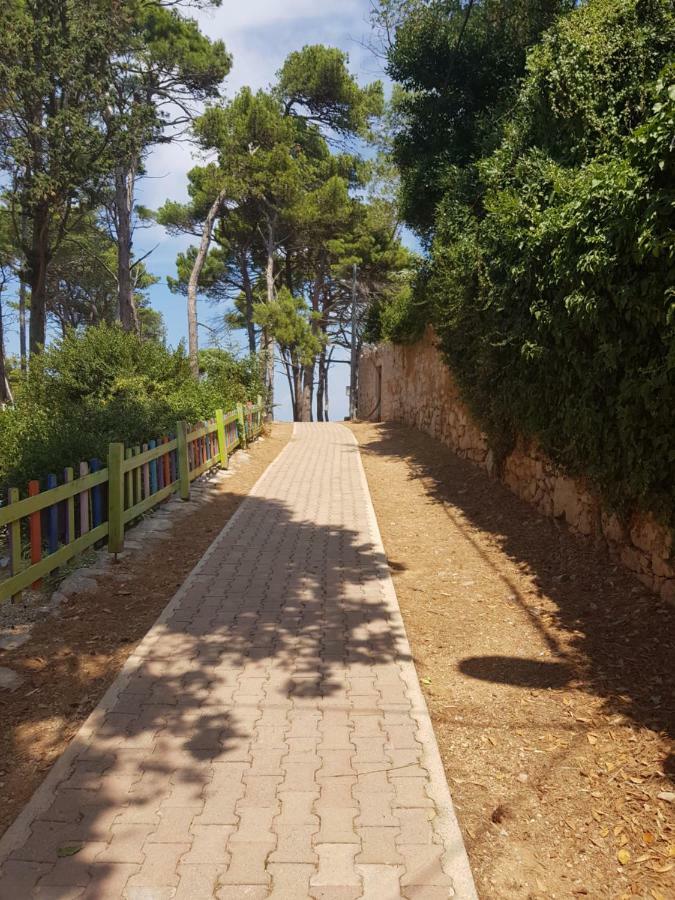 Apartment Zdenka Veli Lošinj المظهر الخارجي الصورة